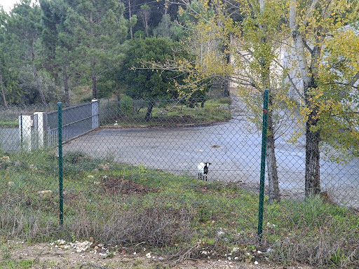 Mondegovidro - Soluções em vidro, lda.