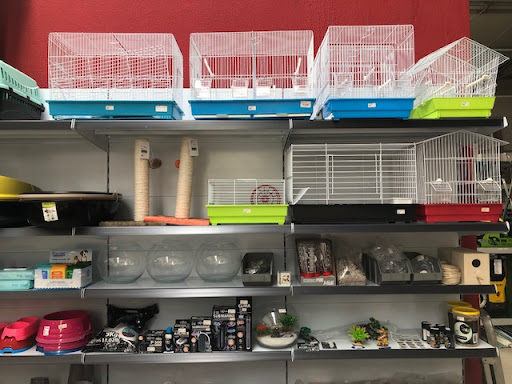 António Bispo & Santos Lda